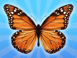 MergeButerfly: 2048!