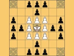 Tafl: viking chess